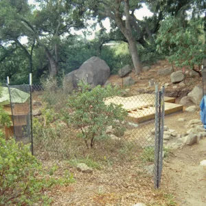 Tea House Construction