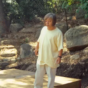 Tea House Construction