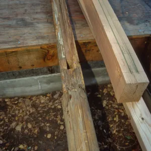 Tea House Construction