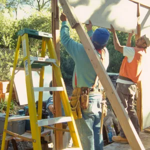 Tea House Construction