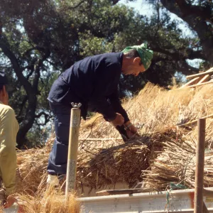 roof thatching tea house construction