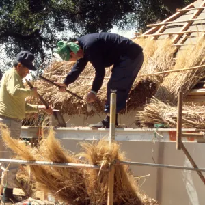Roof thatching tea house construction