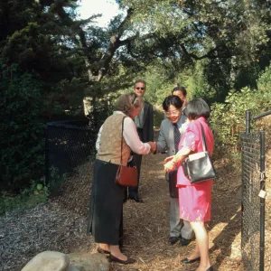 Japanese consul-general visit to Tea House