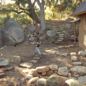 Tea House Garden installation