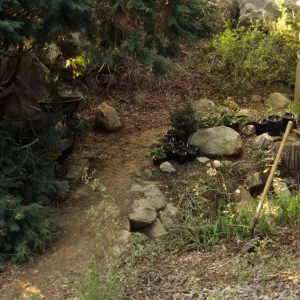 Tea House Garden installation