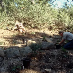 Tea House Garden installation
