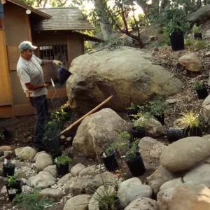 Tea House Garden installation