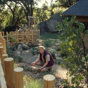 Jay Kendall maintaining tea house garden