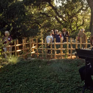 flutist at tea house event