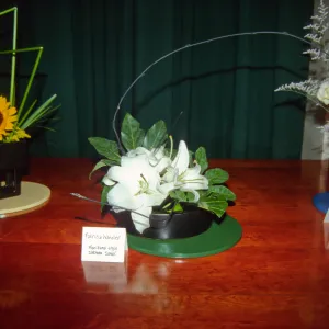 ichibana floral arrangements