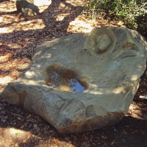dog fountain, Meadow Oaks