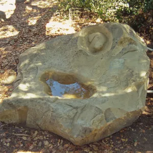 dog fountain, dog water basin, Meadow Oaks