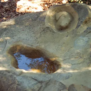 dog fountain, dog water basin, Meadow Oaks