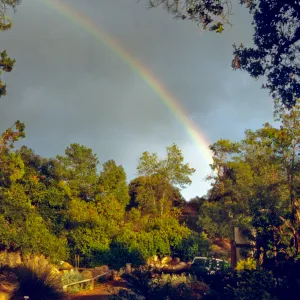rainbow over SBBG