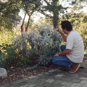 Garden Entrance display