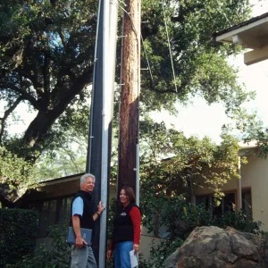 New power pole installed adjacent to the old wooden 'acorn granary' pole