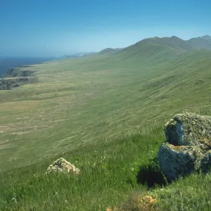 Santa Cruz Island