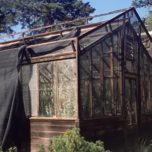 Lath house repair
