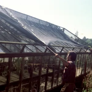 Lath house repairs