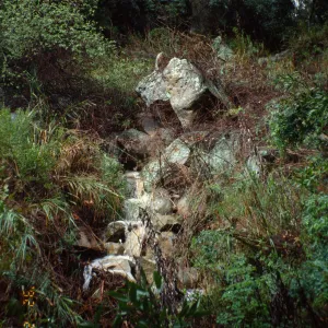 Pritchett Trail drainage