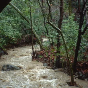 Mission Creek