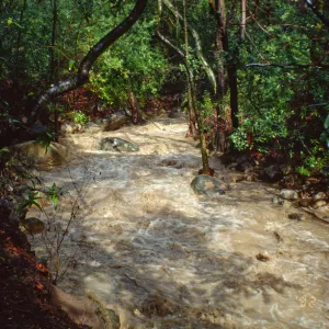 Mission Creek