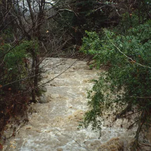 Mission Creek