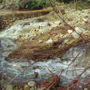 Mission Creek at flood stage, above the Mission Dam