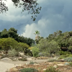 Lower Meadow and Desert section