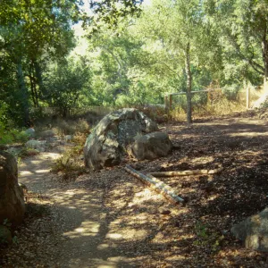Site for new picnic area