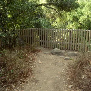 Site for new picnic area, fence at dam overlook