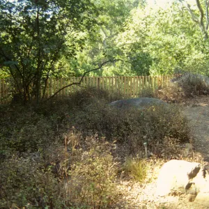 Site for new picnic area, fence at dam overlook