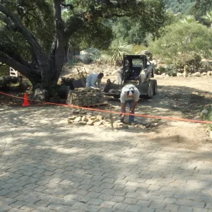 New pavered path at Garden Entrance, entrance oak