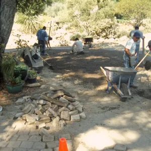 New pavered path at Garden Entrance, entrance oak