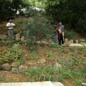 Paving the Arroyo Trail