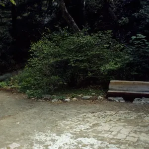 wood bench on east side of Mission Dam, Redwood Section