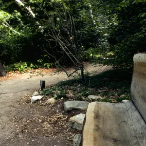 wood bench on east side of Mission Dam, Redwood Section