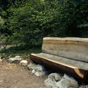 wood bench on east side of Mission Dam, Redwood Section