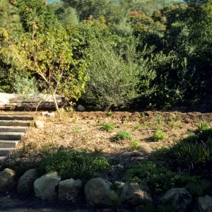Meadow View display garden, Conn Garden, wood bench, staircase