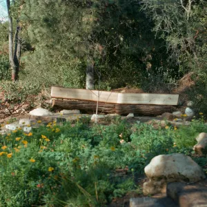 Meadow View display garden, Conn Garden, wood bench, staircase