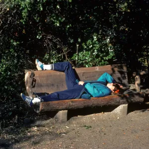 visitor lying on redwood bench