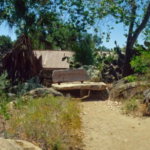wood bench in Desert Section (replaced by stone Pritzlaff Bench in 2000)