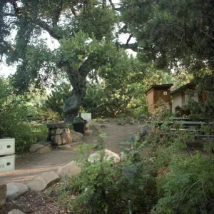 restroom and picnic area at Garden Entrance, 1993