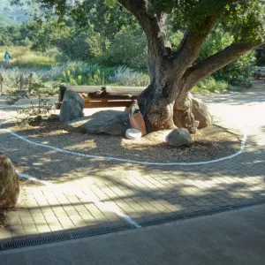 Entrance reconstruction