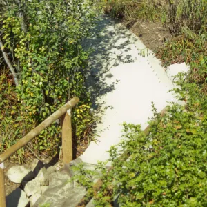 Path Paving