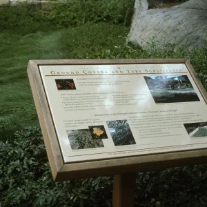 Ground Cover Interpretive Panel