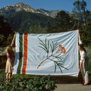 Old Garden Flag