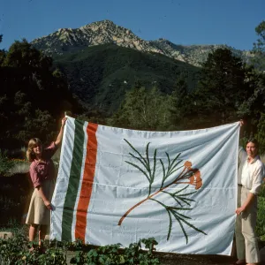Old Garden Flag
