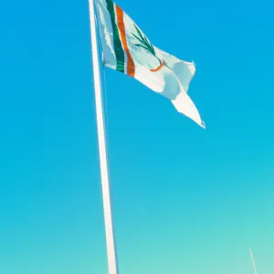 Garden Flag at SB Harbor Avenue of Flags