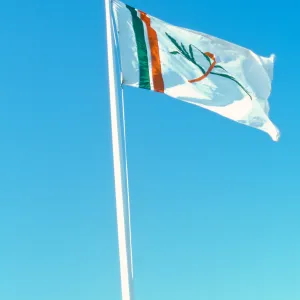 Garden Flag at SB Harbor Avenue of Flags